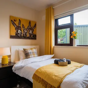  Homestay Suburban Haven Ireland